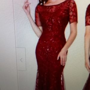 Semi Formal Plum Colour Maxi Dress  Size US 6